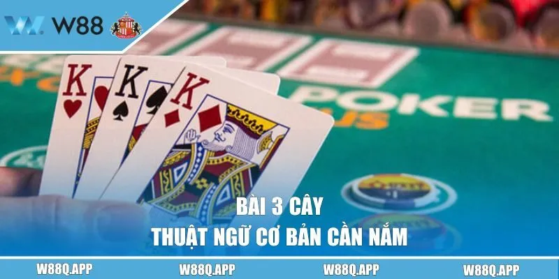 Thuật ngữ cơ bản cần nắm