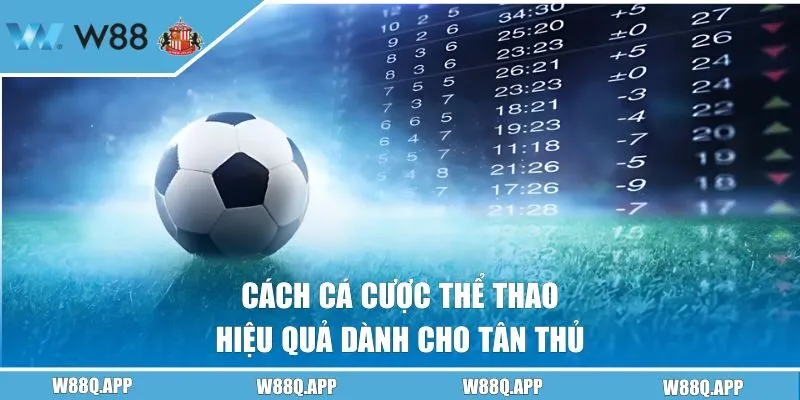 Tips cược thể thao hiệu quả