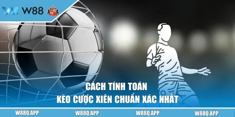Cách tính toán cược xâu chuẩn xác nhất
