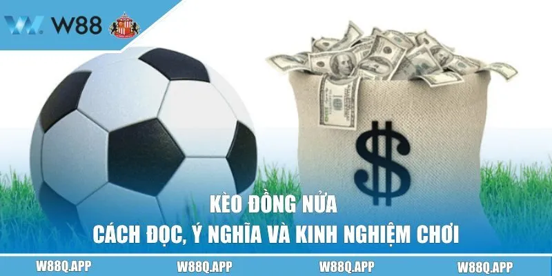 Kèo Đồng Nửa | Cách Đọc, Ý Nghĩa Và Kinh Nghiệm Chơi