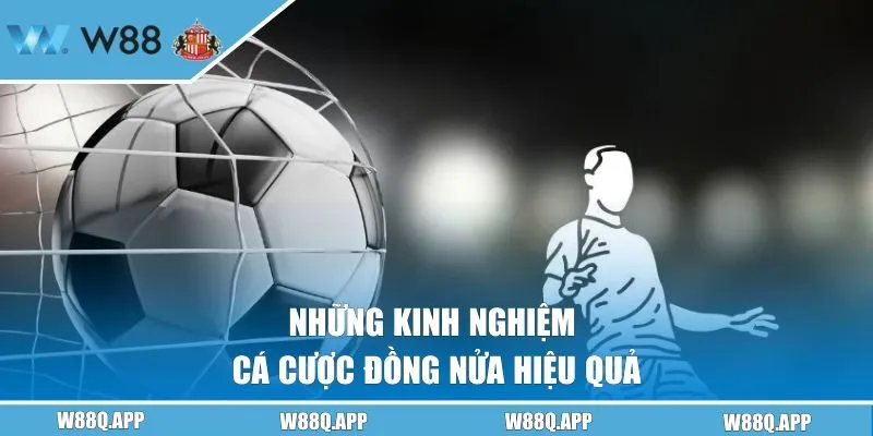 Những kinh nghiệm cá cược đồng nửa hiệu quả