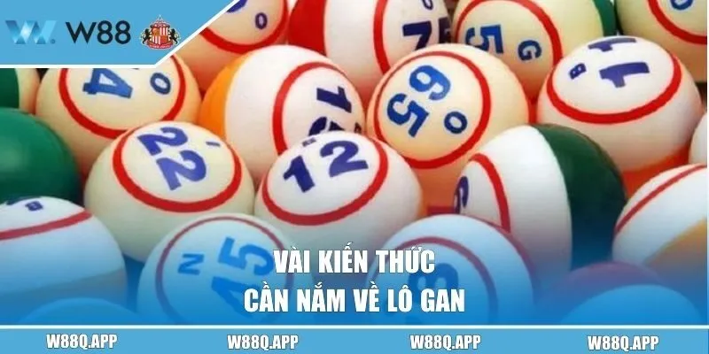 Vài kiến thức cần nắm về lô gan