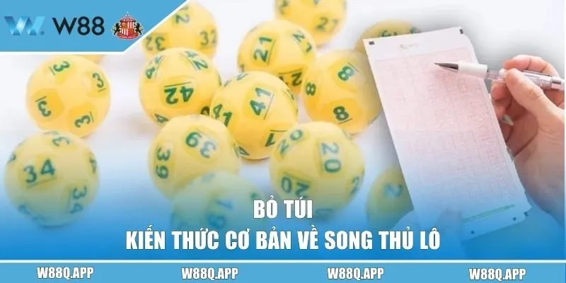 Bỏ túi kiến thức cơ bản về song thủ lô
