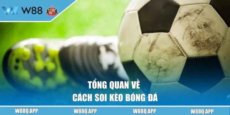 Tổng quan chi tiết cách soi kèo bóng đá